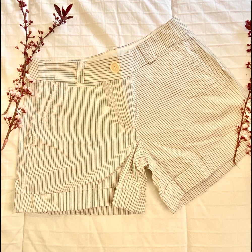 J.Crew Shorts